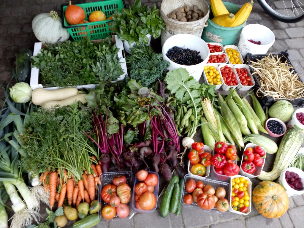 unas cosechas de mi huerta