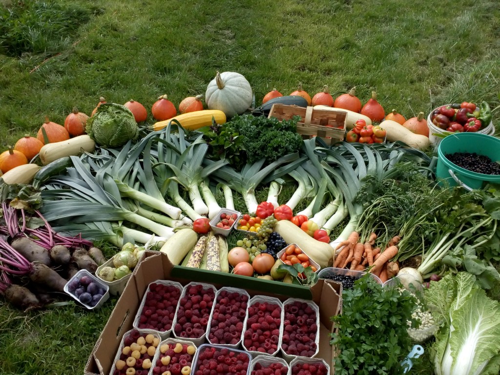 unas cosechas de mi huerta